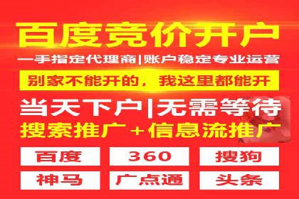 百度推广在电商行业的应用案例分析